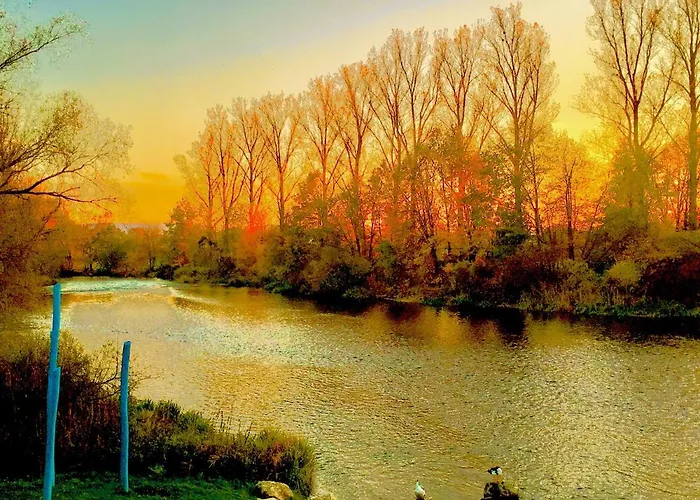 Rhein Romantik Riverview 콘스탄츠