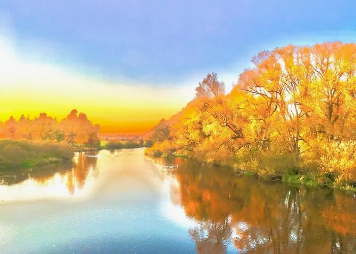 Rhein Romantik Riverview 아파트